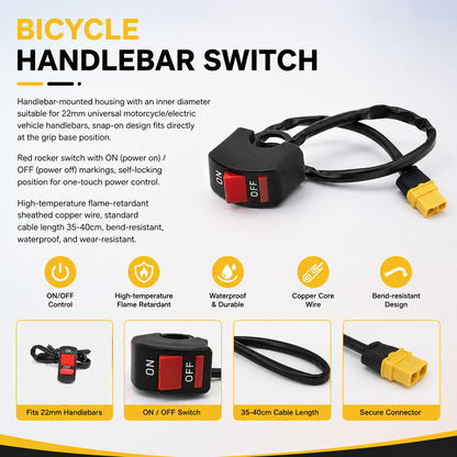 Rock Lamp Kit with Battery Case